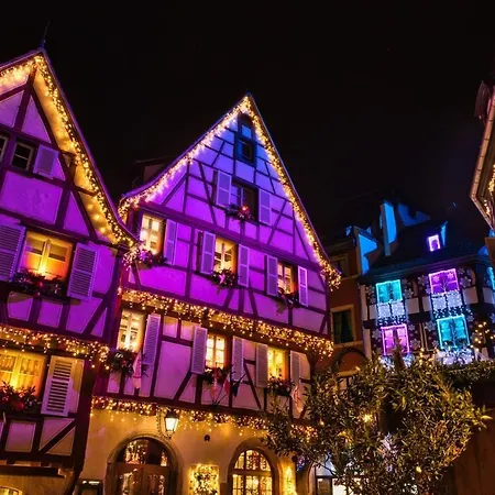 Nouveau - Schmoutzi & Schatzi - En Hypercentre Avec Parking Apartment Colmar