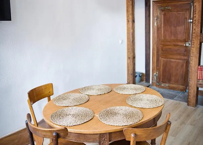 Nouveau - Schmoutzi & Schatzi - En Hypercentre Avec Parking Colmar