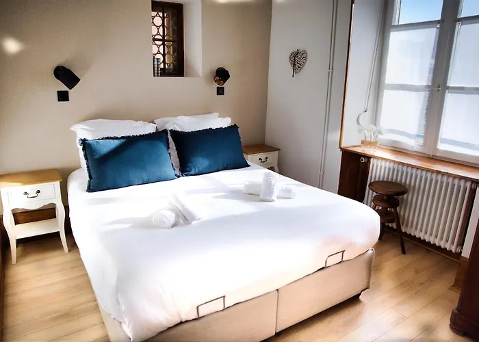 Nouveau - Schmoutzi & Schatzi - En Hypercentre Avec Parking *