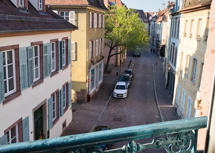 Nouveau - Schmoutzi & Schatzi - En Hypercentre Avec Parking Apartment Colmar