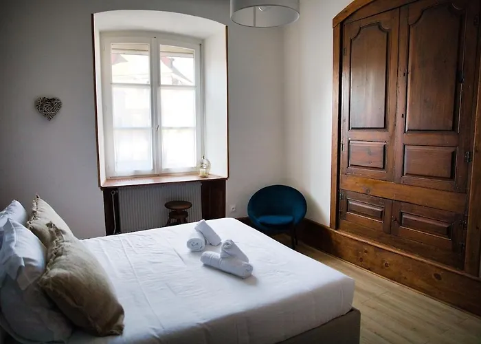 Nouveau - Schmoutzi & Schatzi - En Hypercentre Avec Parking * Colmar